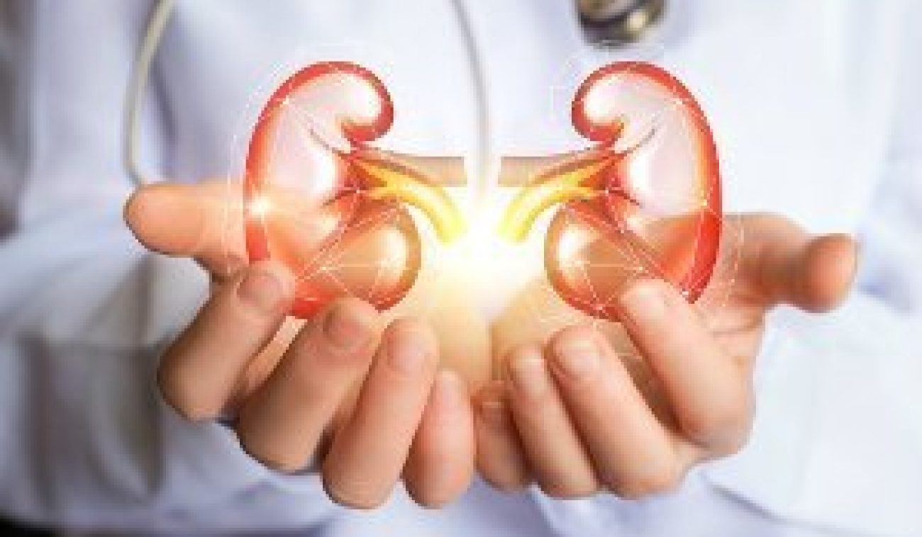 kidney-care-news-2